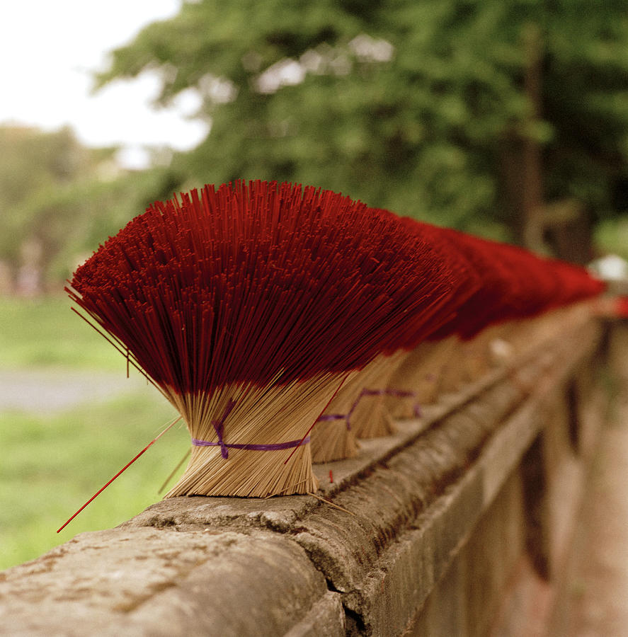 Beautiful Incense Sticks Photograph by Shaun Higson