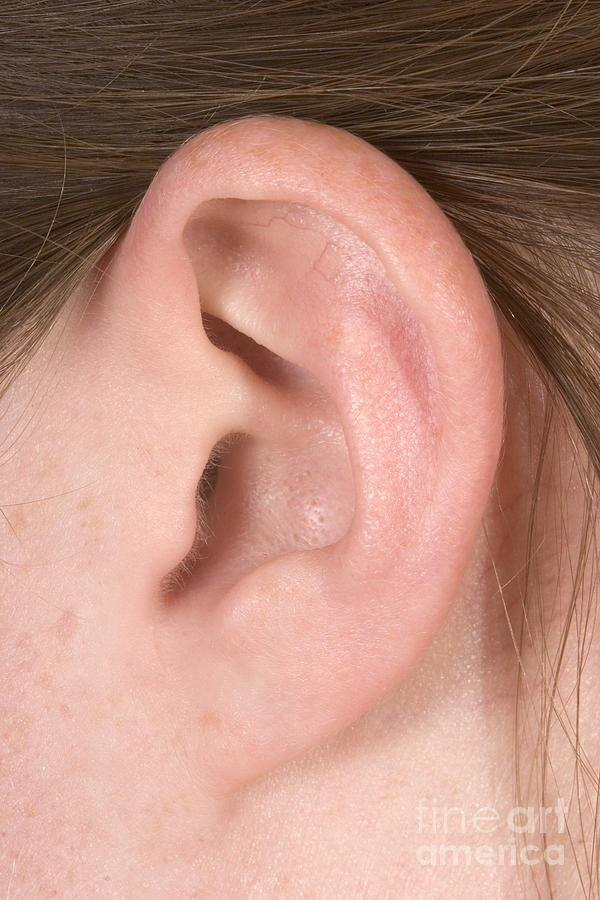 Human Ear #1 Photograph by Ted Kinsman