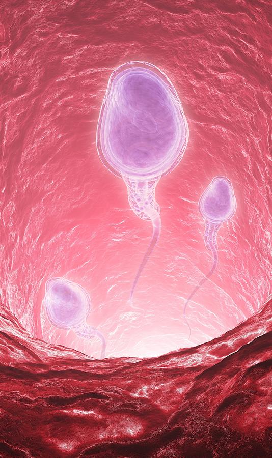 Human Sperm Cells, Artwork #1 Digital Art by Andrzej Wojcicki
