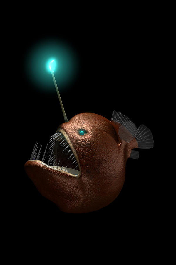 Humpback Anglerfish #1 By Koji, 55% OFF