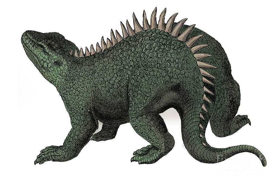 Hylaeosaurus Illustration #1 Photograph by Science Source