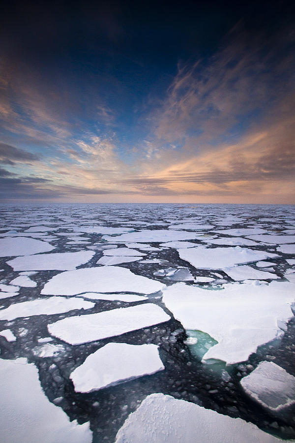 Ice Floes At Sunset Near Mertz Glacier #1 Photograph by Colin Monteath