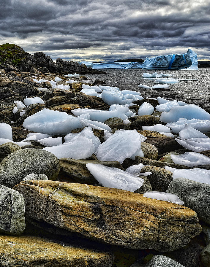 Landscape Photograph - Icebergs at St. Anthony #1 by Steve Hurt