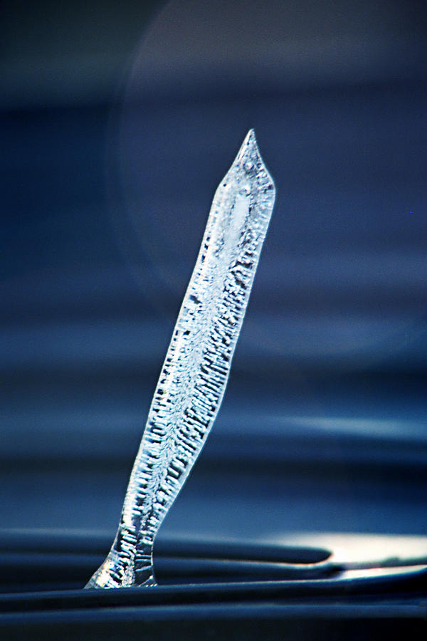Icicle In Reverse Photograph