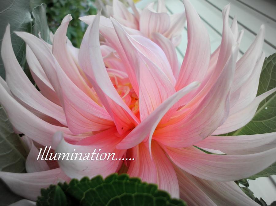 Illumination #1 Photograph by Sian Lindemann