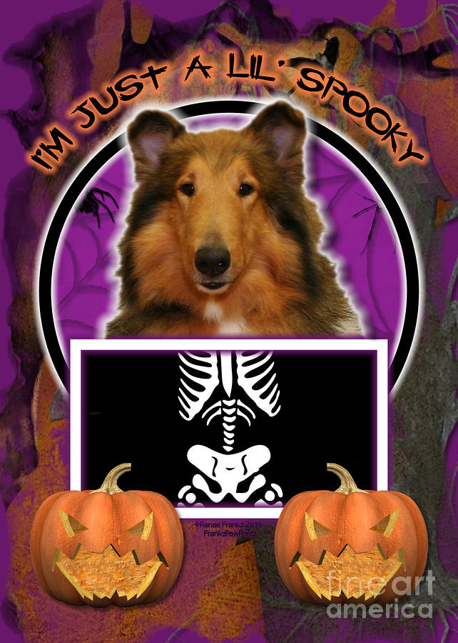 Halloween Digital Art - Im Just a Lil Spooky Collie #1 by Renae Crevalle