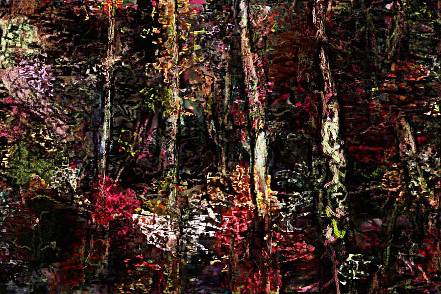 In the Woods #1 Digital Art by David Lane