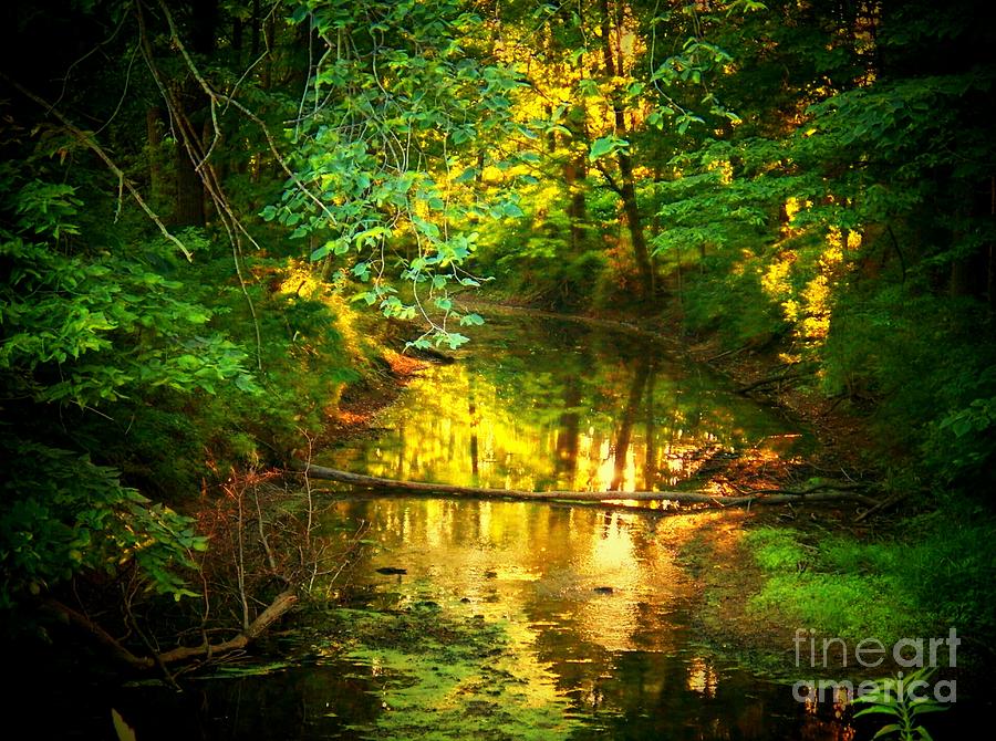 Indiana Creek #1 Photograph by Joyce Kimble Smith