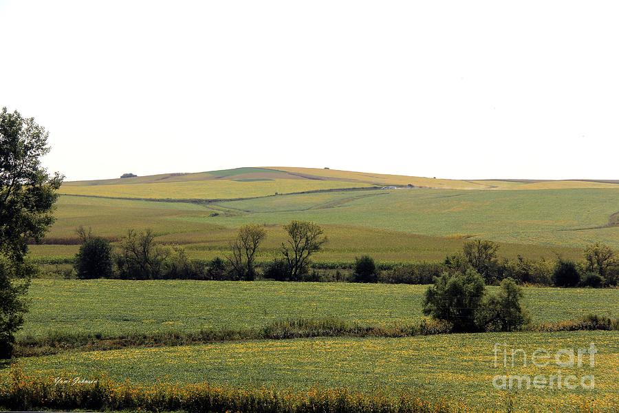 Iowa farmland #1 Photograph by Yumi Johnson