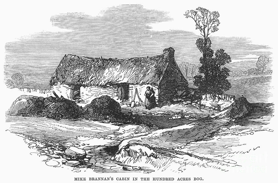Ireland: Cabin, 1870 #1 Photograph by Granger