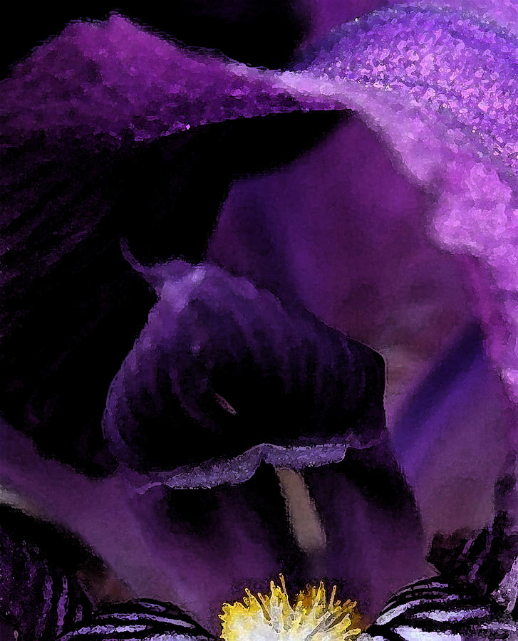 Iris Watercolor #1 Photograph by Karen Harrison Brown