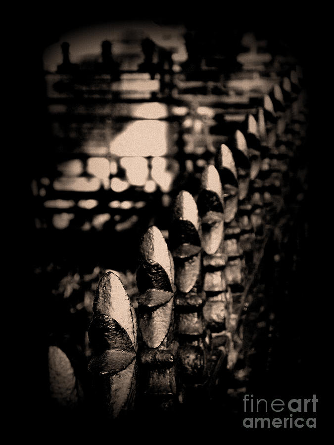Iron Fence #1 Photograph by Susanne Van Hulst