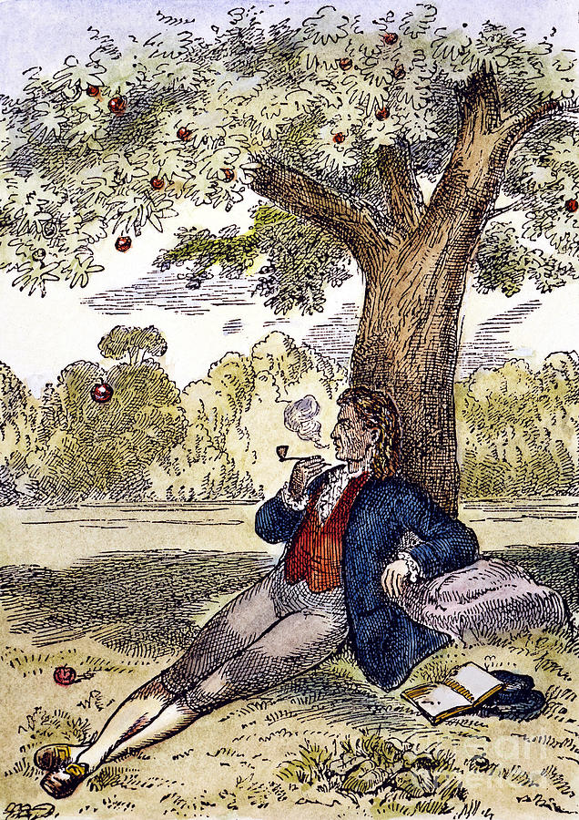 Isaac Newton And The Apple Photograph by Granger