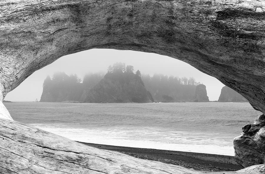 Islands in the fog at Rialto Beach in Olympic National park #1 Photograph by Pierre Leclerc Photography