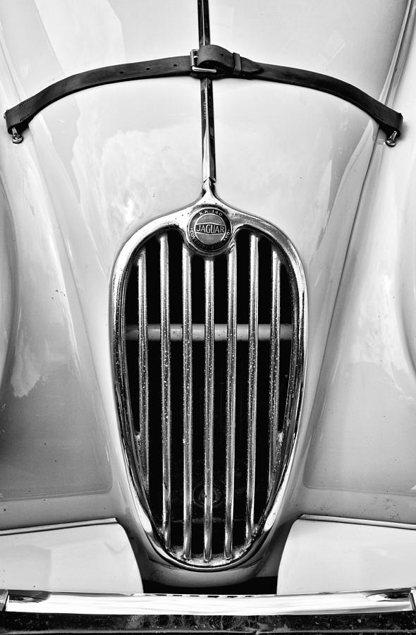 Jaguar #1 Photograph by Jim Orr