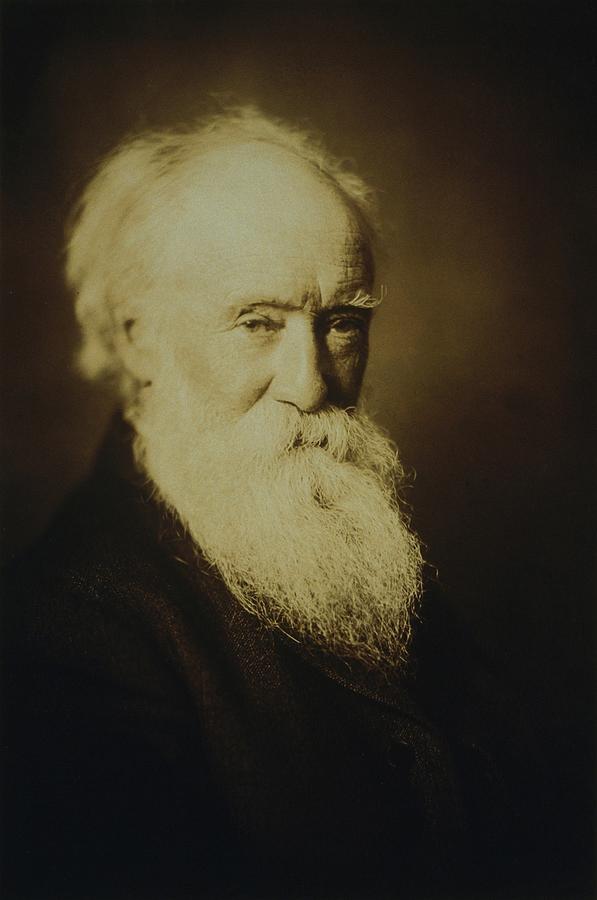 John Burroughs 1837-1921, Wrote Photograph By Everett - Pixels