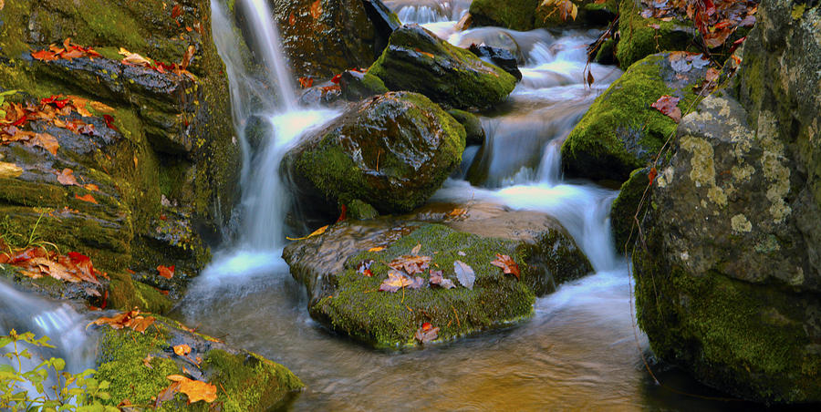 Nature Photograph - Jones Run Falls #1 by Glenn Vidal