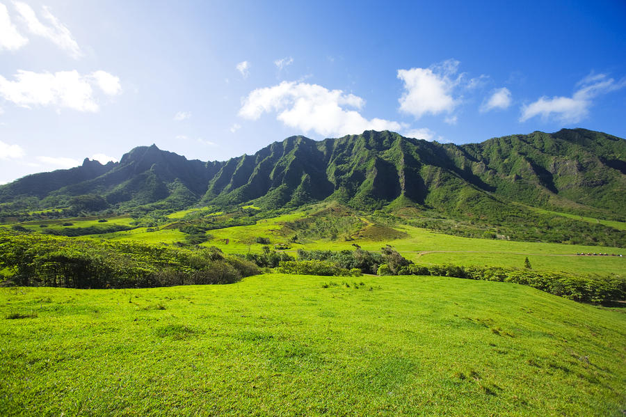 Kaaawa Valley And Kualoa Ranch by Dana Edmunds - Printscapes