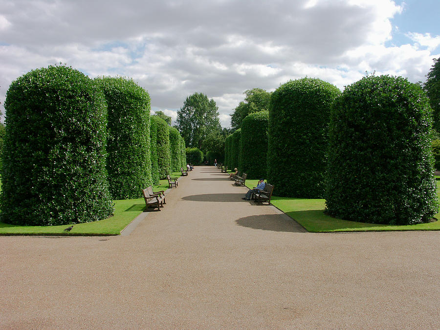 Kensington Gardens #1 Photograph by Roger Mullenhour