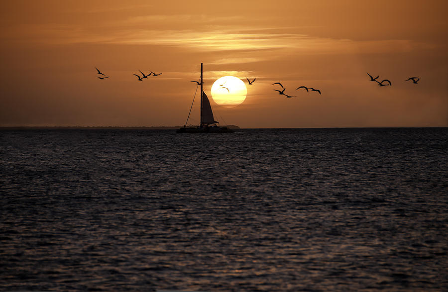 Key West Sunset #1 Photograph by Paul Plaine