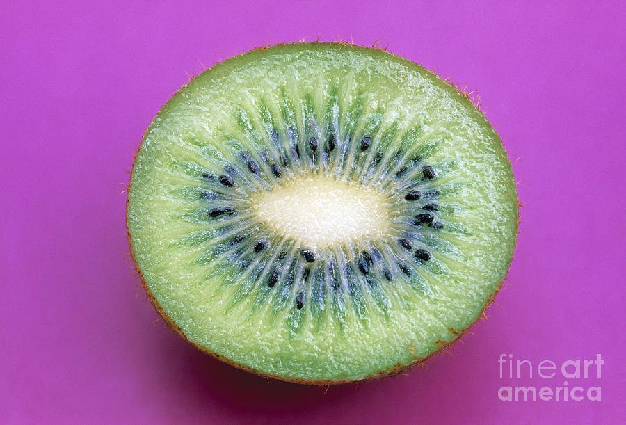 Fruit Photograph - Kiwi on Pink #1 by Juan Silva