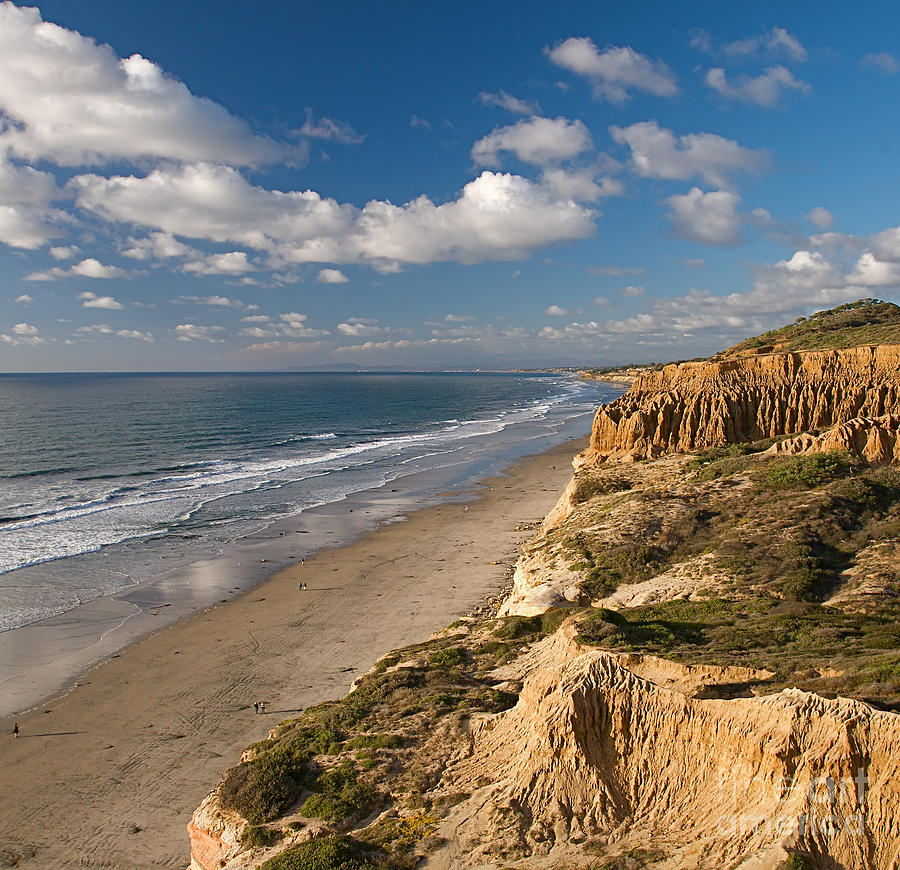Summer Photograph - La Jolla California Coast at Torrey Pines State Park #1 by ELITE IMAGE photography By Chad McDermott
