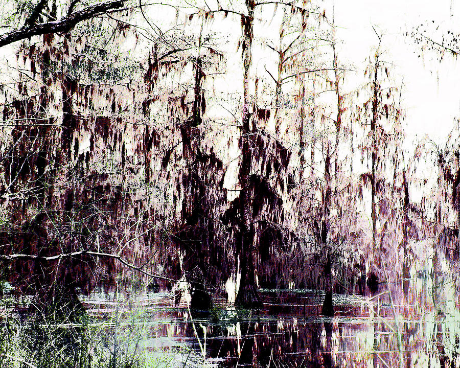Lake Martin Swamp #1 Digital Art by Lizi Beard-Ward