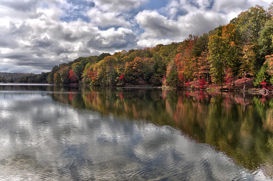 Lake Rose Photograph by Brian Mollenkopf - Fine Art America