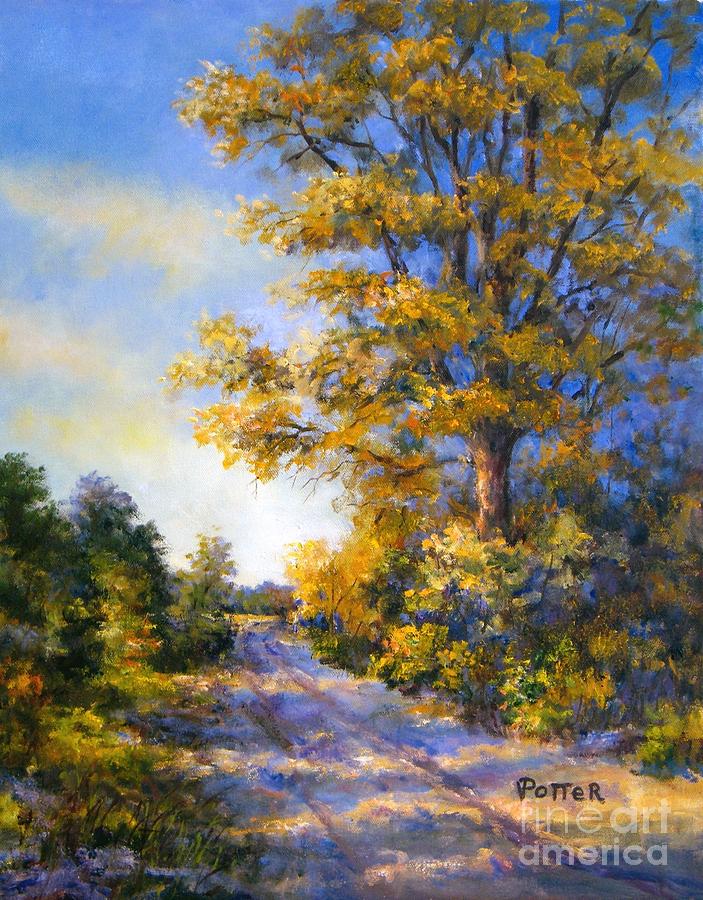 Late Afternoon Sun #1 Painting by Virginia Potter