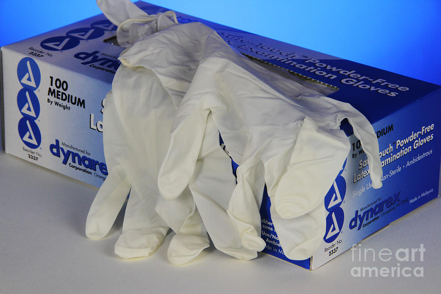 Still Life Photograph - Latex Examination Gloves #1 by Photo Researchers, Inc.