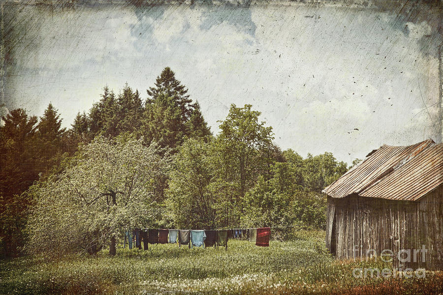 Spring Photograph - Laundry drying on clothesline on a summer day #1 by Sandra Cunningham