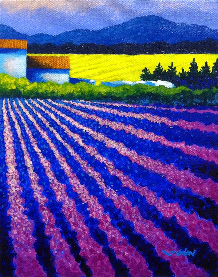 Landscape Painting - Lavender Field Provence #1 by John  Nolan