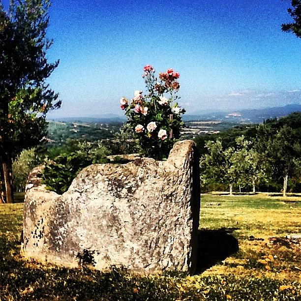 Le Querce Antiche Country House #1 Photograph by Lorenzo Petrarca