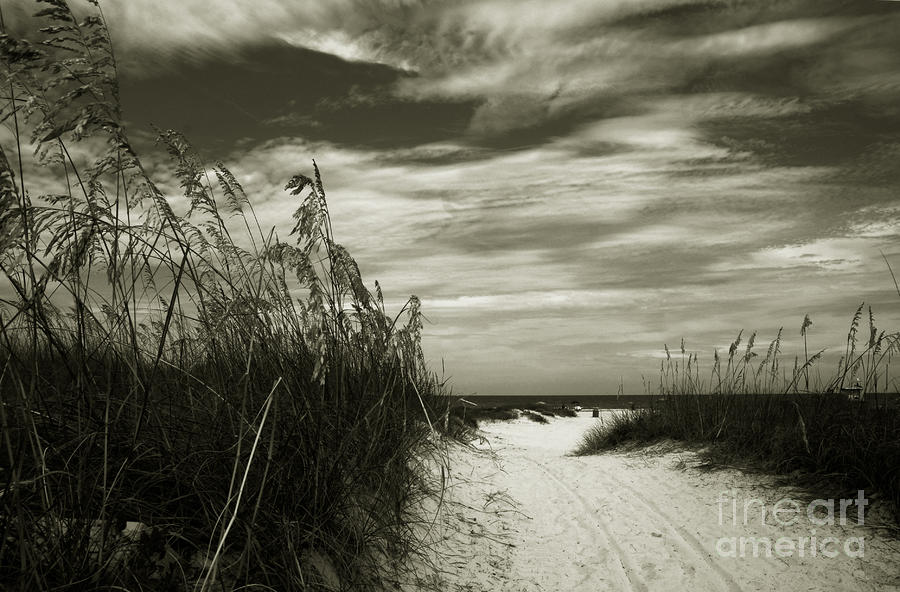 Nature Photograph - Lets go to the beach #1 by Susanne Van Hulst
