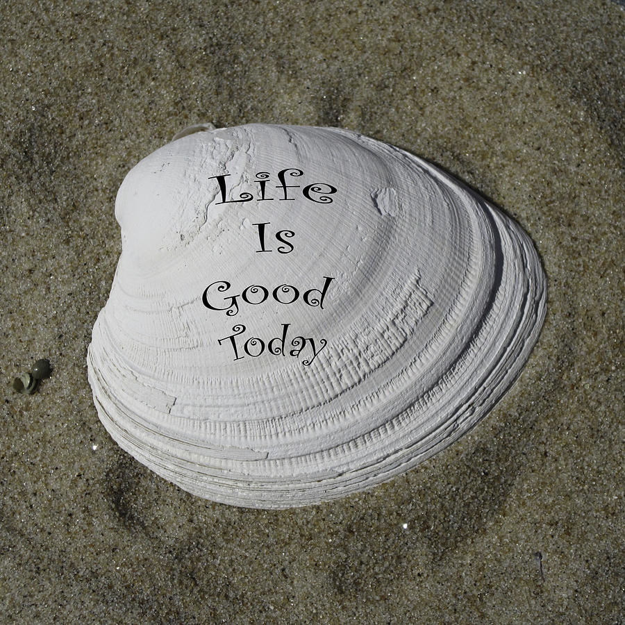 Life Is Good Today #1 Photograph by Trish Tritz