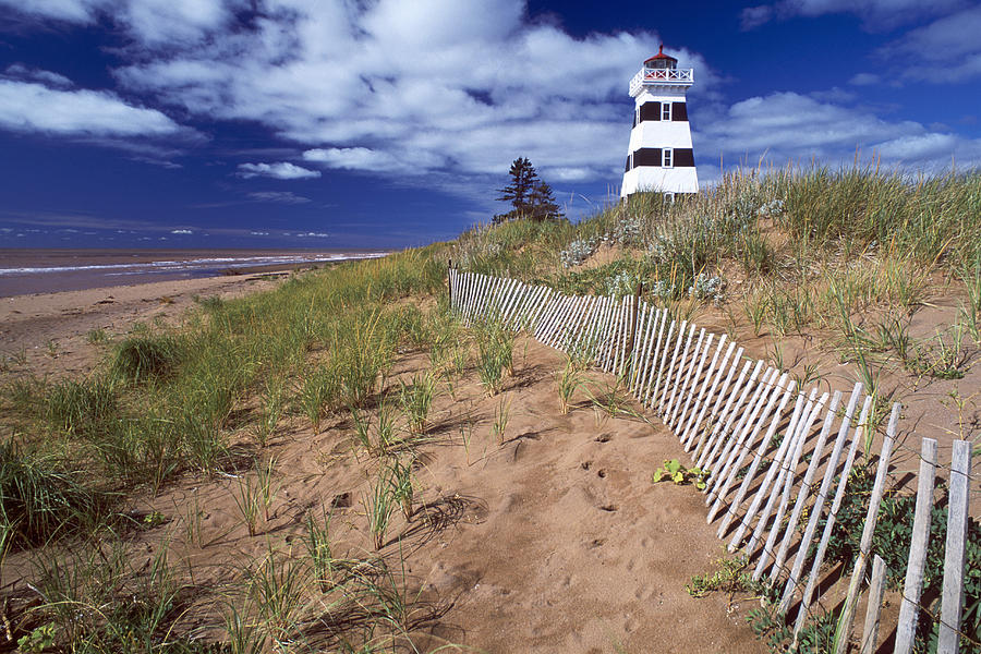Lighthouse, Cedar Dunes Provincial #1 Photograph by David Nunuk