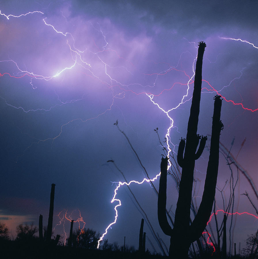 Lightning Storm Over Tucson, Arizona Photograph by Keith Kent
