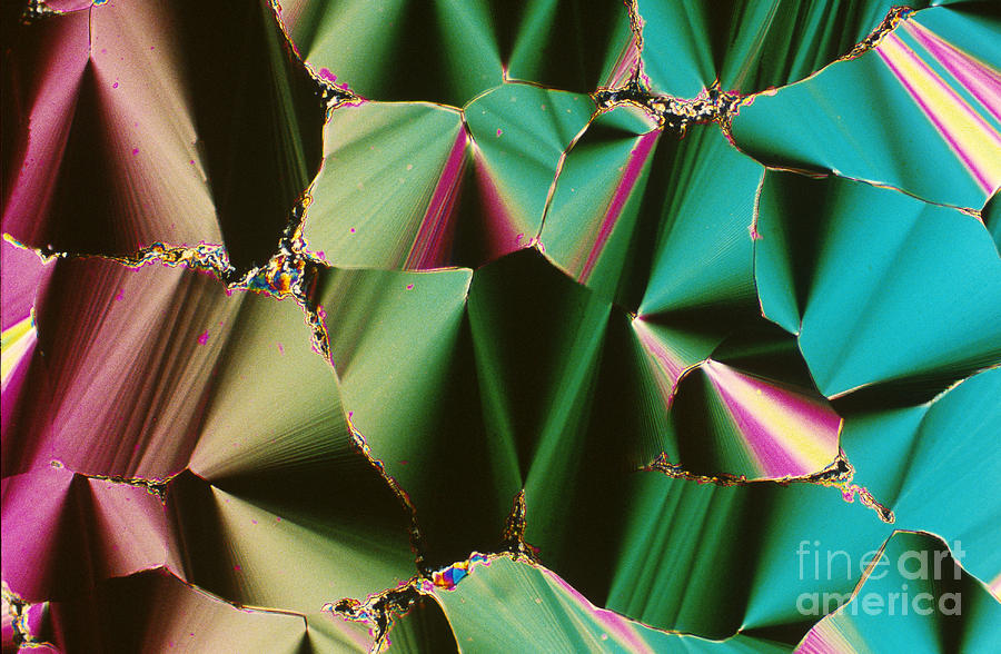 Liquid Crystalline Dna #1 Photograph by Michael W. Davidson