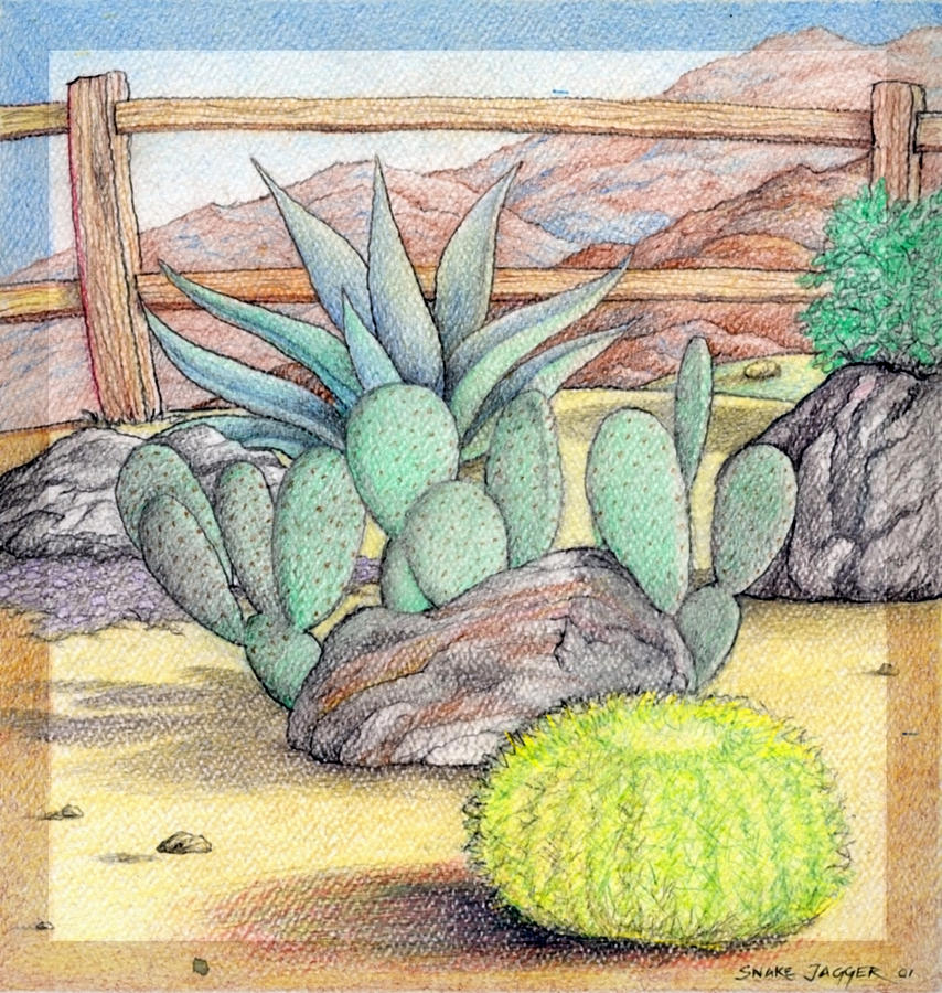 Nature Drawing - Living Desert #1 by Snake Jagger