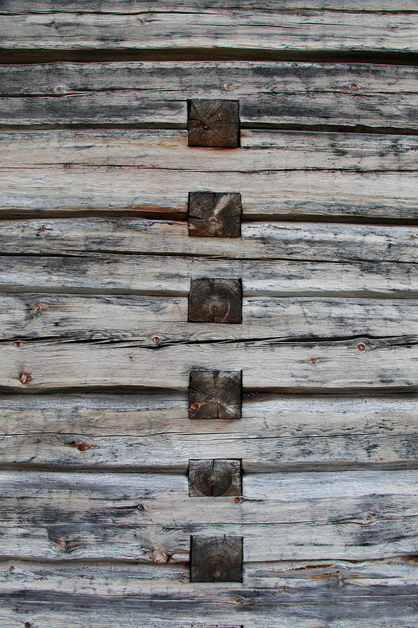Log house texture #1 Photograph by Ulrich Kunst And Bettina Scheidulin