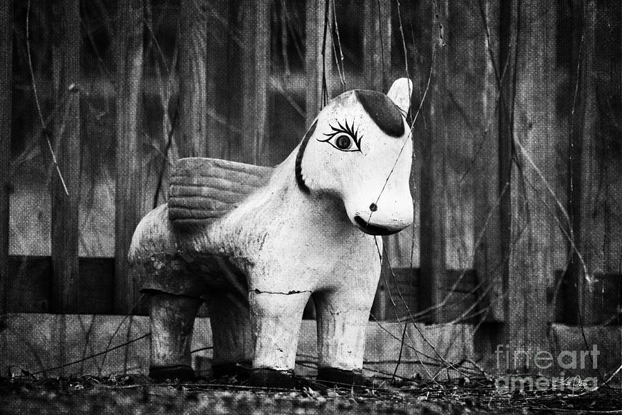 Toy Photograph - Lost Pony #1 by Scott Pellegrin