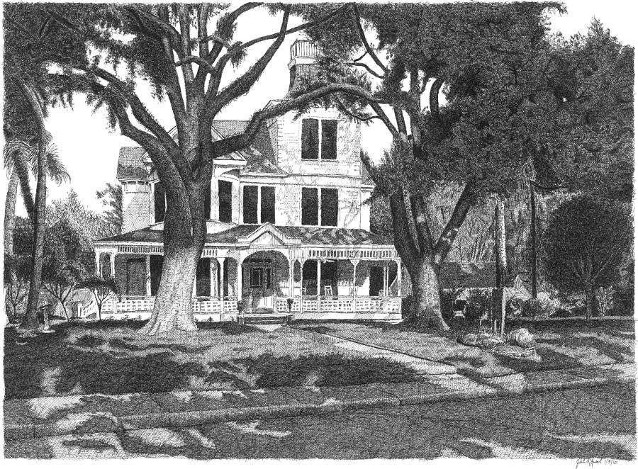 Louisiana House #1 Drawing by Joel Lueck