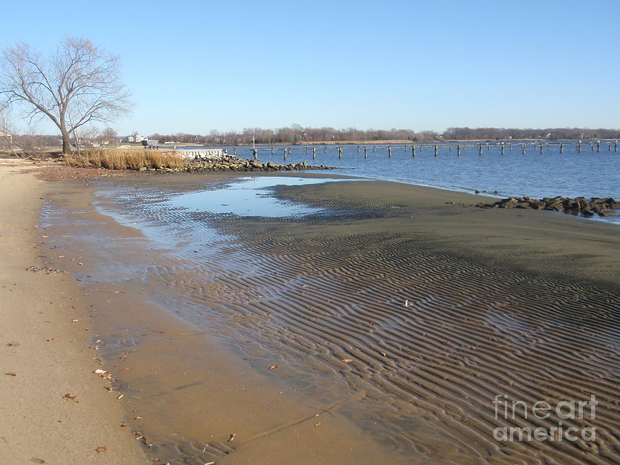 Low Tide Chesapeake Bay Photograph by Valia Bradshaw