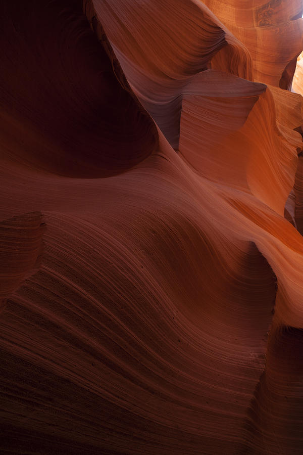 Antelope Canyon Photograph - Lower Antelope Canyon Forms #1 by Gregory Scott