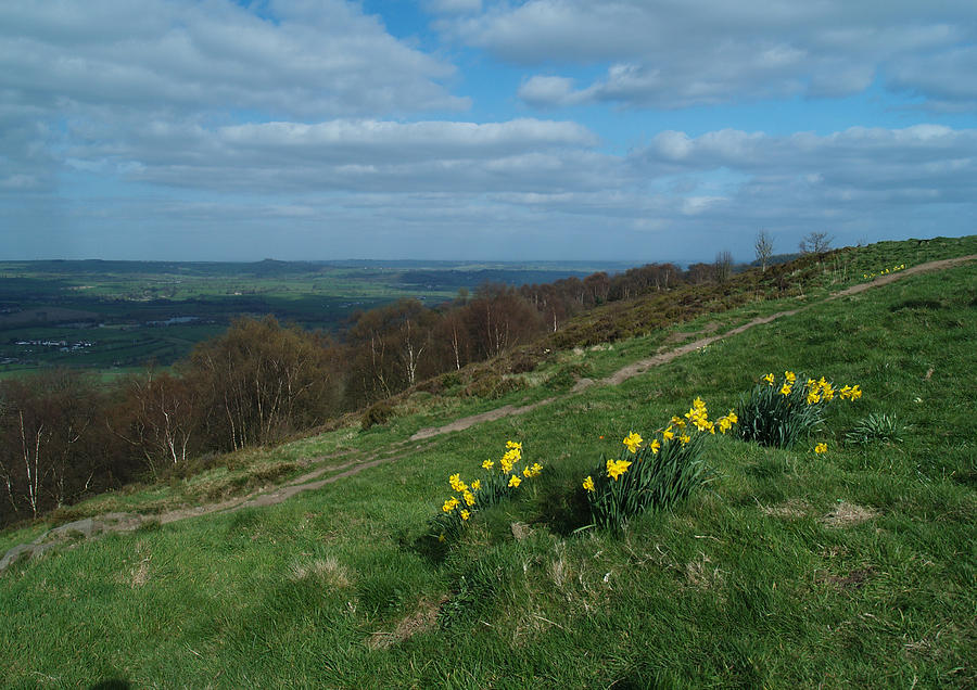 Hillside Photograph - Lower Wharfedale by Steve Watson Hillside Photograph - Lower Wharfedale by Steve Watson