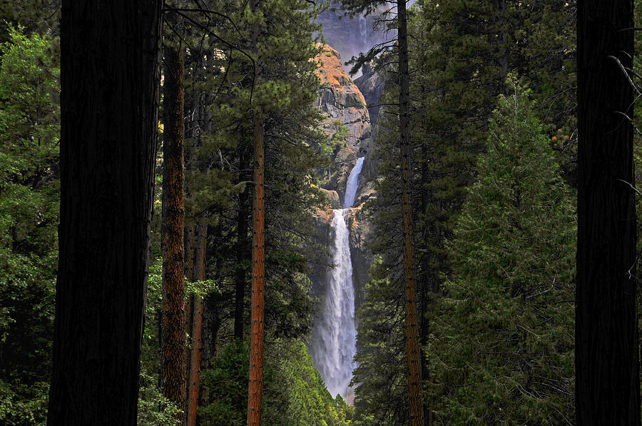 Lower Yosemite Falls 2 #1 Photograph by Lynn Bauer