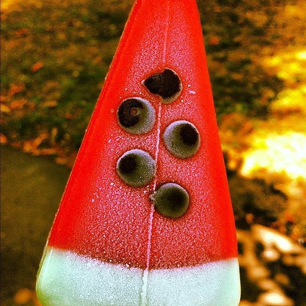 Lubenica -watermelon #1 Photograph by Colin Hickson