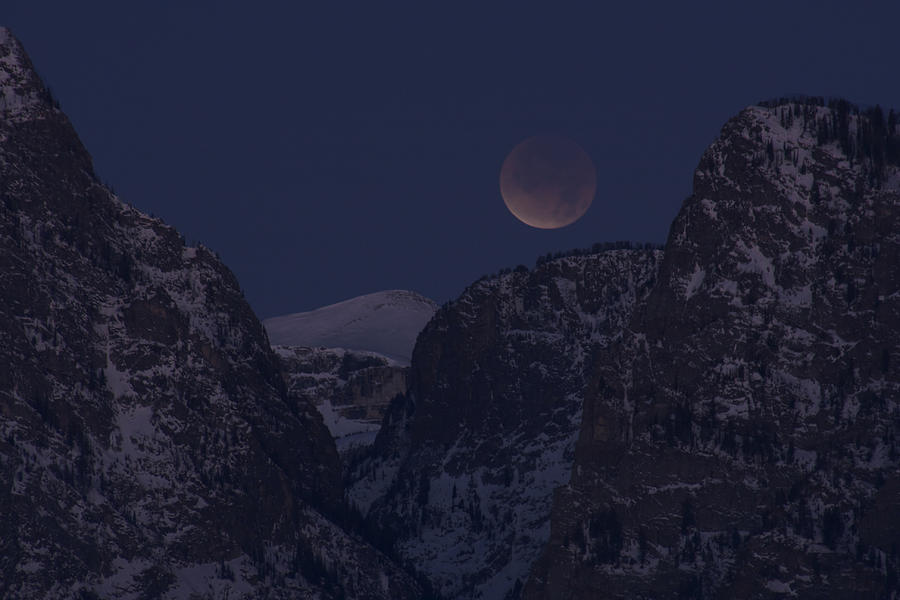 Lunar Eclipse Grand Teton National Park #1 Photograph by Benjamin Dahl