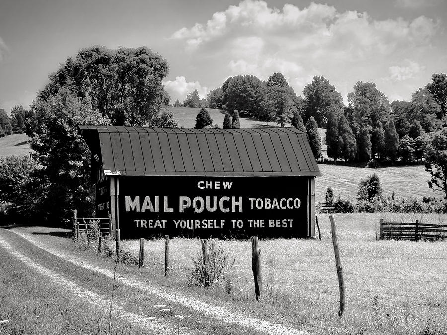 Mail Pouch Barn #2 Photograph by Mary Almond
