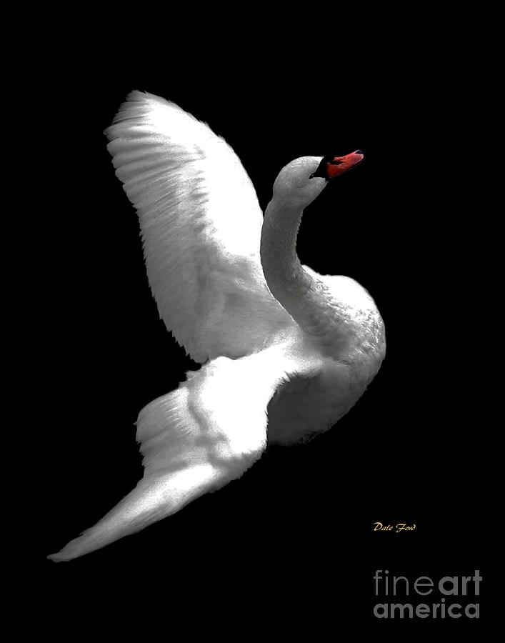 Majestic Swan 3 #1 Digital Art by Dale   Ford